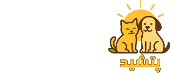 پتشید